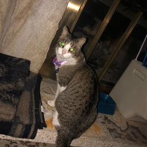 Meet your Posher, Riannon